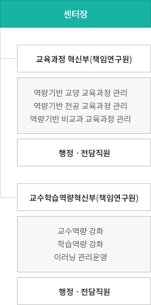 센터장 산하로 교육과정 혁신부(책임연구원)와 교수학습역량혁신부(책임연구원)가 있다. 교육과정 혁신부는 역량기반 교양 교육과정 관리, 역량기반 전공 교육과정 관리, 역량기반 비교과 교육과정 관리의 업무를 하며 소속 행정ㆍ전담직원이 있다. 교수학습역량혁신부는 교수역량 강화, 학습역량 강화, 이러닝 관리운영의 업무를 하며 소속 행정ㆍ전담직원이 있다.