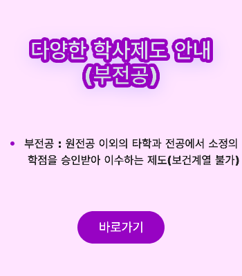 부전공