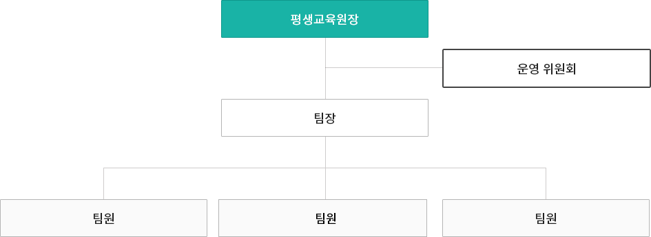 평생교육원장 밑으로 팀장이 있다. 평생교육원장과 팀장 사이에 운영위원회가 있다. 팀장 밑으로 팀원이 3명 있다.